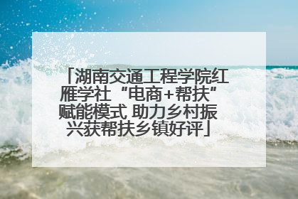 湖南交通工程学院红雁学社“电商+帮扶”赋能模式 助力乡村振兴获帮扶乡镇好评